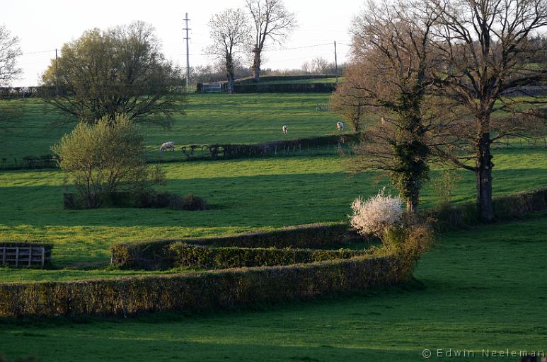 ENE-20130423-0070.jpg - Vareilles (Saône-et-Loire)